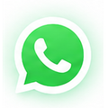 WhatsApp Support